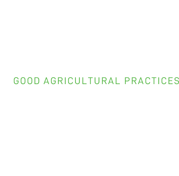 国際水準GAP認証 GOOD AGRICULTURAL PRACTICES